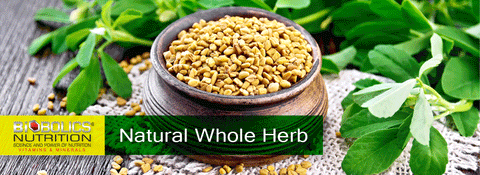 Biobolics Nutrition Fenugreek Natural Whole Herb 610mg | Supports Overall Health and Wellness | 60 Capsules