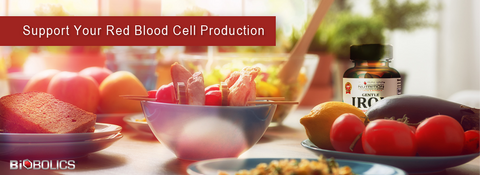 Biobolics Nutrition Gentle Iron Ferrous Fumarate 28mg | Supports Red Blood Cell Production